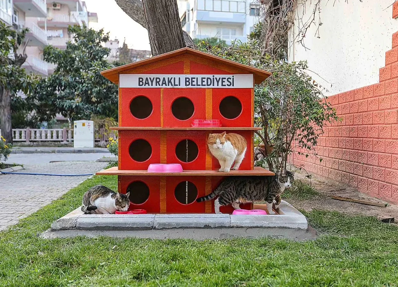 Bayraklı kedi evleri